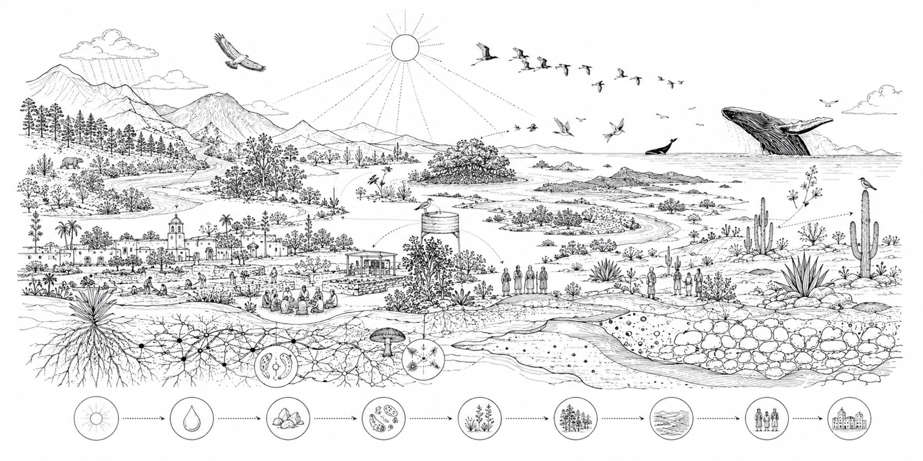 A regenerative landscape rendered in line illustration: mountains, forest, community, cultivation, ocean, microbial soil life, and a flow chart of natural systems from sun to built environment.